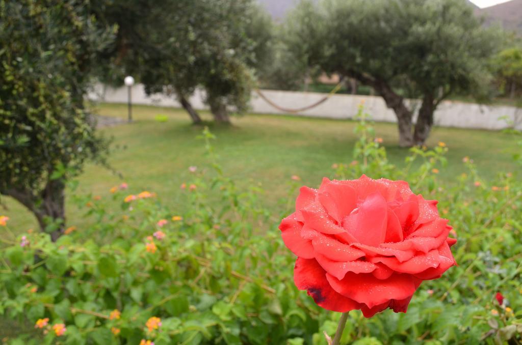 Aeolus Pool Apts Palekastro Dış mekan fotoğraf